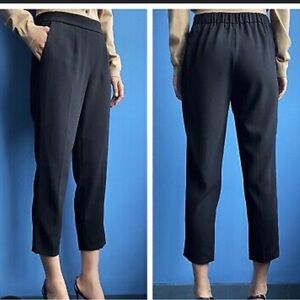 Aritzia Babaton Cohen Pant